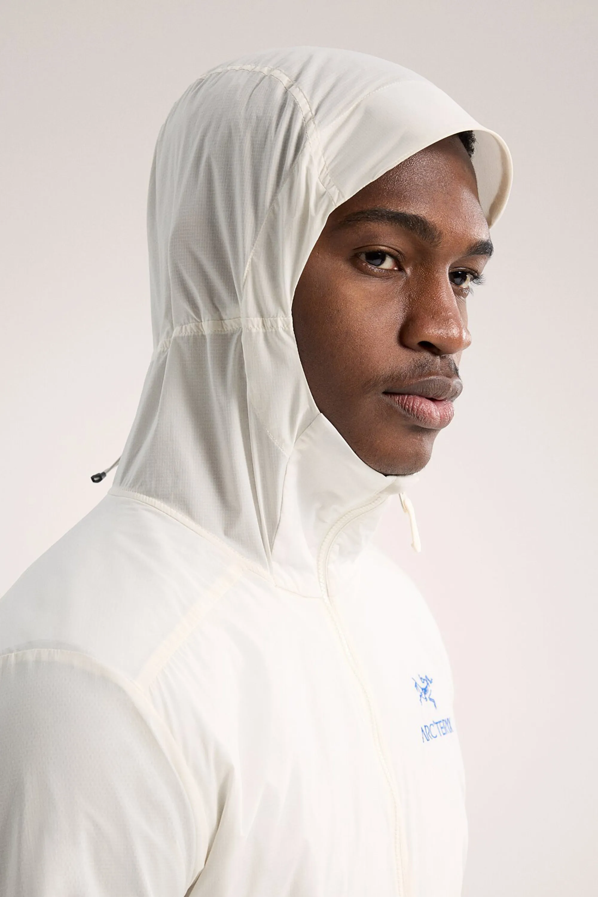 Arc'teryx Men's Atom SL Hoody in Arctic Silk/Vitality