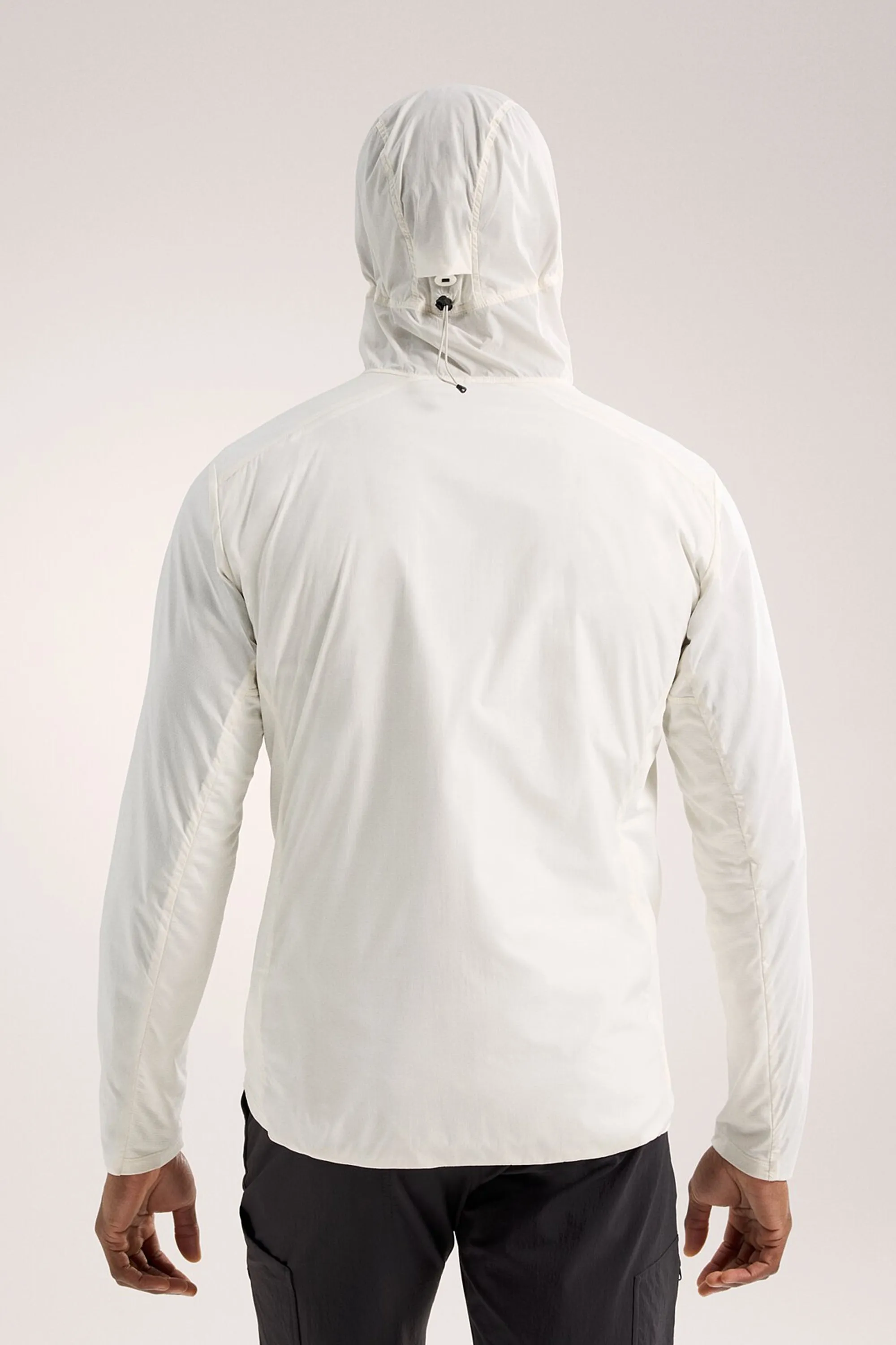 Arc'teryx Men's Atom SL Hoody in Arctic Silk/Vitality